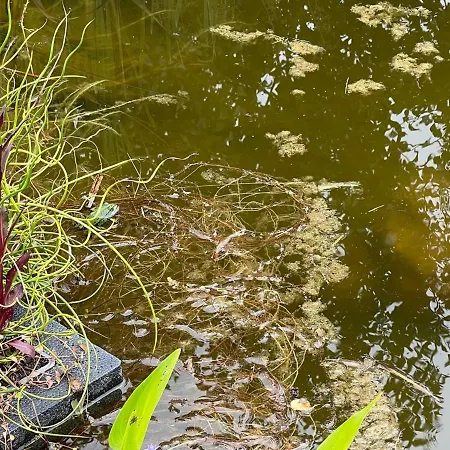 Eichkobel Ferienhaus