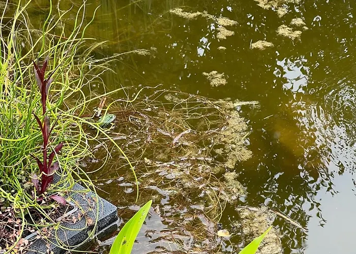 Eichkobel בית נופש